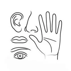 Raisons pour consulter un psychologue